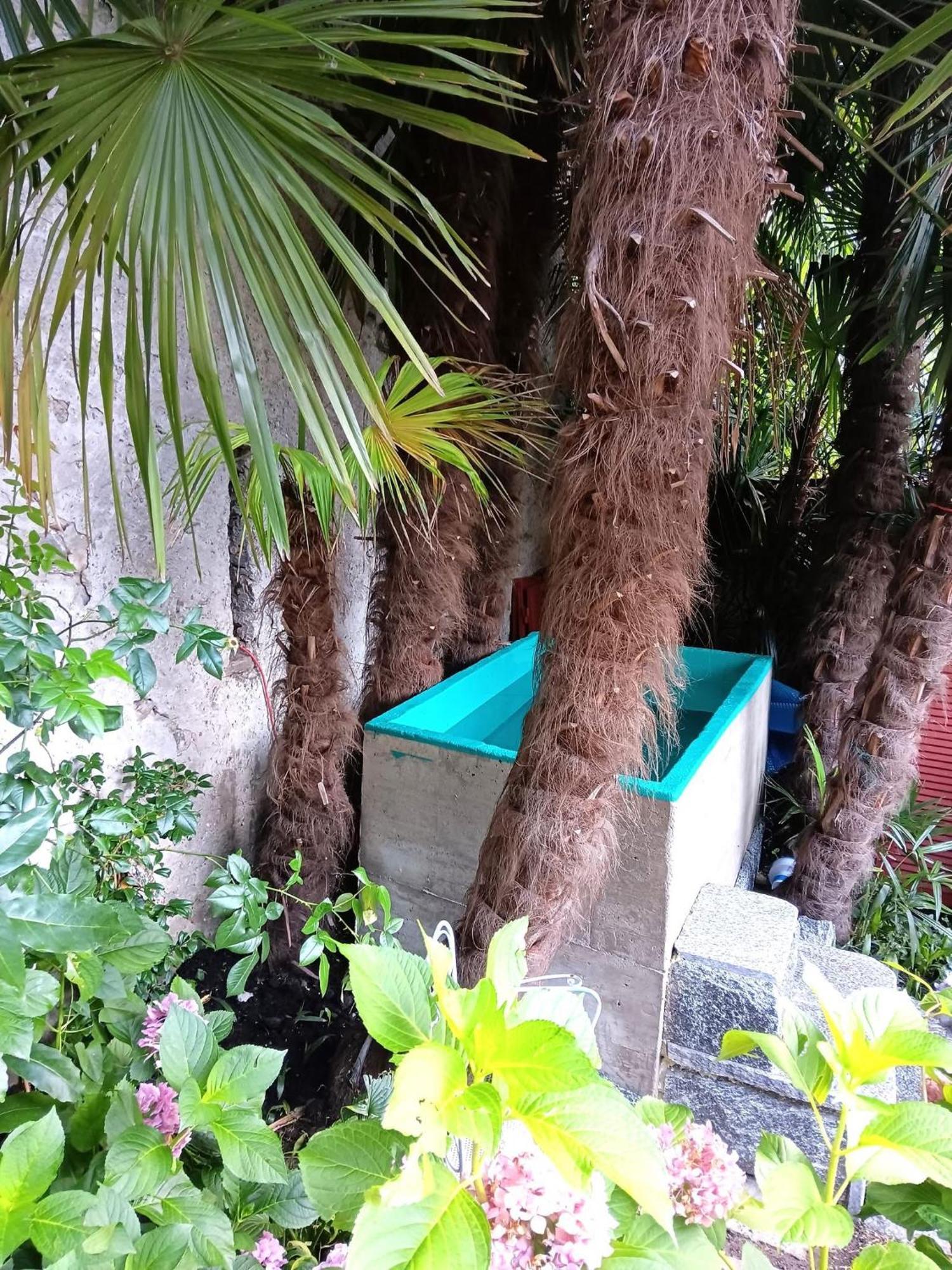 Casa Belgeri - Bed & Breakfast Dongio エクステリア 写真
